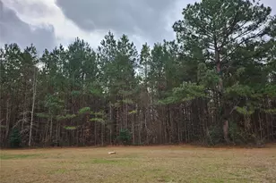 22647 Kelly Dr, Saratoga, TX 77585 - Photo 29