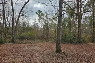 22647 Kelly Dr, Saratoga, TX 77585 - Photo 23