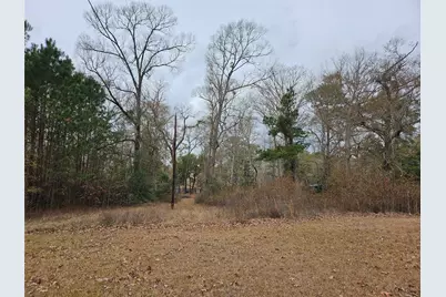 22647 Kelly Drive, Saratoga, TX 77585 - Photo 25