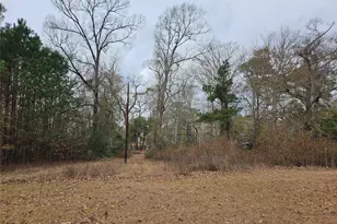 22647 Kelly Dr, Saratoga, TX 77585 - Photo 25