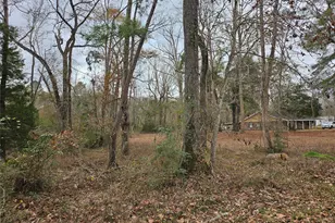 22647 Kelly Dr, Saratoga, TX 77585 - Photo 21