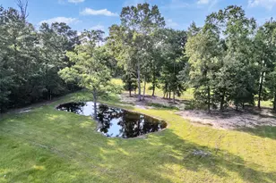 45 County Rd 2219, Cleveland, TX 77327 - Photo 35
