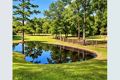 45 County Road 2219, Cleveland, TX 77327 - Photo 35
