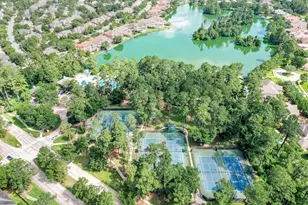 9215 Horse Cave Cir, Spring, TX 77379 - Photo 45