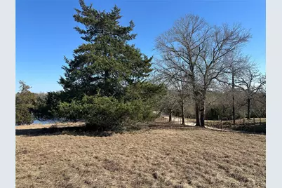 14556 County Road 445, Marquez, TX 77865 - Photo 21