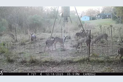 14556 County Road 445, Marquez, TX 77865 - Photo 33
