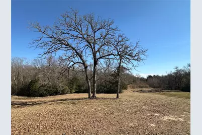 14556 County Road 445, Marquez, TX 77865 - Photo 23