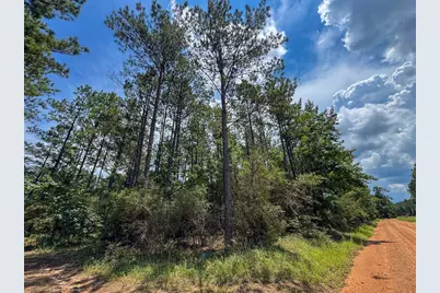 T-7 Benny Griffin Road, Livingston, TX 77351 - Photo 3