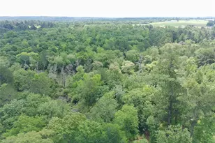 Tract 133 Pr 1313, Centerville, TX 75833 - Photo 1