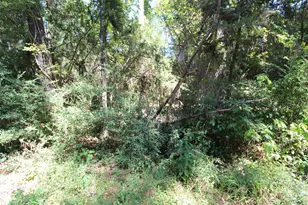 17551 W Fm 1097 Rd, Montgomery, TX 77356 - Photo 11