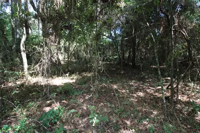 17551 W Fm 1097 Road, Montgomery, TX 77356 - Photo 13