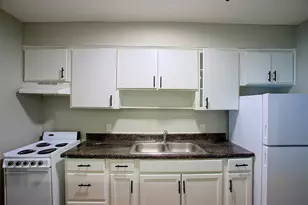 1419 Hawthorne, Houston, TX 77006 - Photo 3