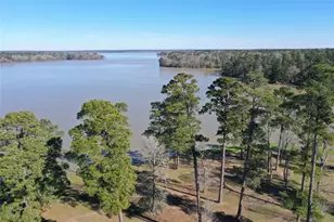 377 Burke St, Point Blank, TX 77364 - Photo 3