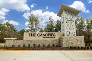 24114 Chirp St, Splendora, TX 77372 - Photo 33