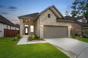 648 Crested Duck Ct, Willis, TX 77318 - Photo 1
