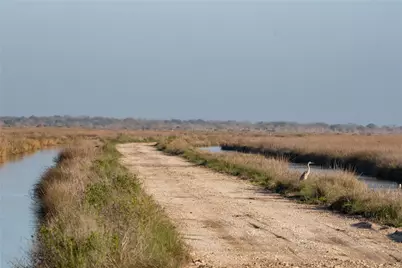0 Highway 2004, Liverpool, TX 77511 - Photo 23