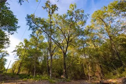 12424 Red Hill Rd Road, Hearne, TX 77859 - Photo 13