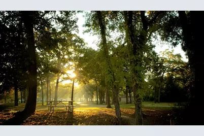 1131 Sopris Drive, Houston, TX 77077 - Photo 33