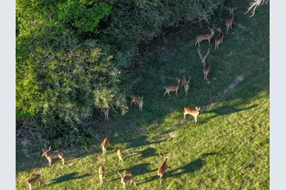 870 Fm 3188, Trinity, TX 75862 - Photo 3