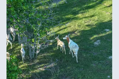 870 Fm 3188, Trinity, TX 75862 - Photo 47