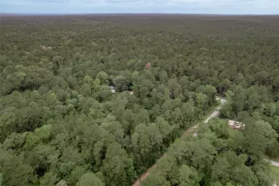 Lot 07 Oak Drive, Trinity, TX 75862 - Photo 19