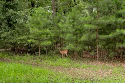 Lot 07 Oak Drive, Trinity, TX 75862 - Photo 35
