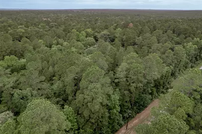 Lot 07 Oak Drive, Trinity, TX 75862 - Photo 27