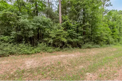 Lot 07 Oak Drive, Trinity, TX 75862 - Photo 9