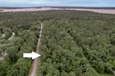 Lot 07 Oak Drive, Trinity, TX 75862 - Photo 3