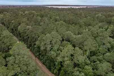 Lot 07 Oak Drive, Trinity, TX 75862 - Photo 33