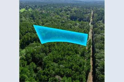 Lots 72, 73, 74 Sweetgum Lane, Oakhurst, TX 77359 - Photo 3