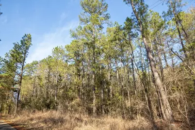 Tbd Cr 201 Road, Plantersville, TX 77363 - Photo 27