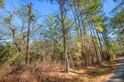 Tbd Cr 201 Road, Plantersville, TX 77363 - Photo 17