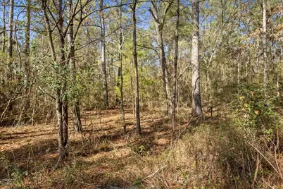 Tbd Cr 201 Road, Plantersville, TX 77363 - Photo 47