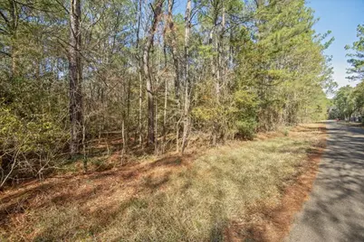 Tbd Cr 201 Road, Plantersville, TX 77363 - Photo 45