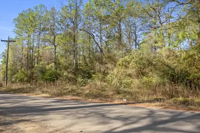 Tbd Cr 201 Road, Plantersville, TX 77363 - Photo 13