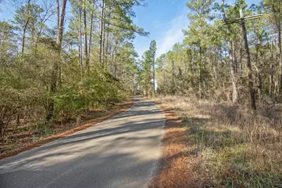 Tbd Cr 201 Road, Plantersville, TX 77363 - Photo 25