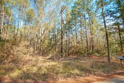 Tbd Cr 201 Road, Plantersville, TX 77363 - Photo 21