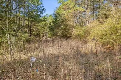 Tbd Cr 201 Road, Plantersville, TX 77363 - Photo 7