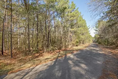 Tbd Cr 201 Road, Plantersville, TX 77363 - Photo 43