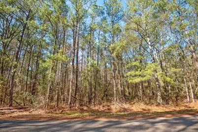 Tbd Cr 201 Road, Plantersville, TX 77363 - Photo 39