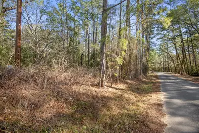 Tbd Cr 201 Road, Plantersville, TX 77363 - Photo 19