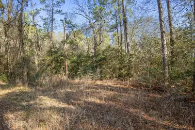 Tbd Cr 201 Road, Plantersville, TX 77363 - Photo 29