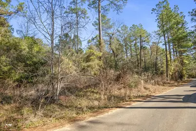 Tbd Cr 201 Road, Plantersville, TX 77363 - Photo 15