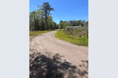0 Dottie Lane, Shepherd, TX 77371 - Photo 3