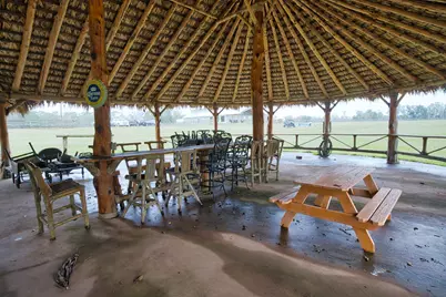 3559 Fm 521 Road, Brazoria, TX 77422 - Photo 33