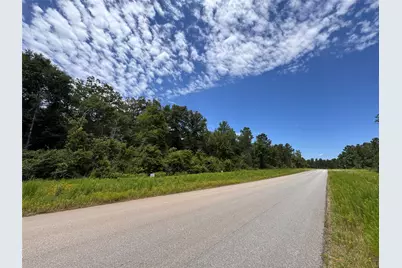 15327 Forest Grove Drive, Willis, TX 77378 - Photo 3