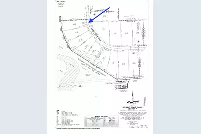15327 Forest Grove Drive, Willis, TX 77378 - Photo 3