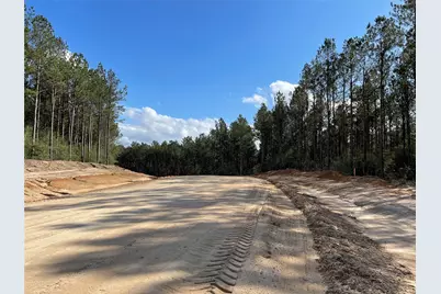 15327 Forest Grove Drive, Willis, TX 77378 - Photo 5