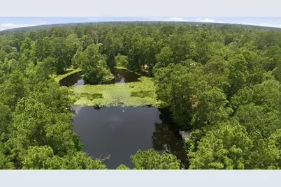 223 Pin Oak Lane, Magnolia, TX 77354 - Photo 45